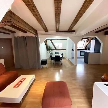 Apartment Le Schongauer En Hypercentre *