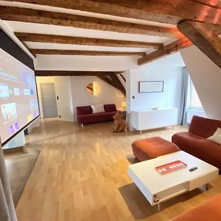 Le Schongauer En Hypercentre * Colmar