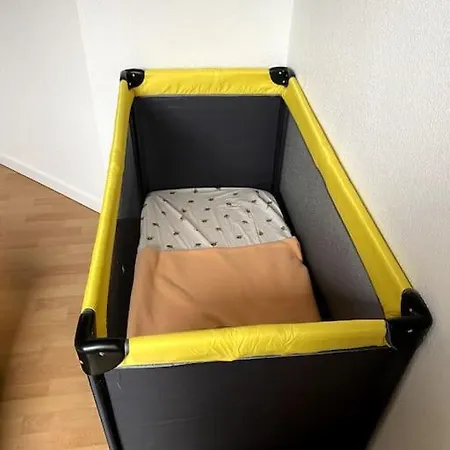Le Schongauer En Hypercentre Apartment Colmar
