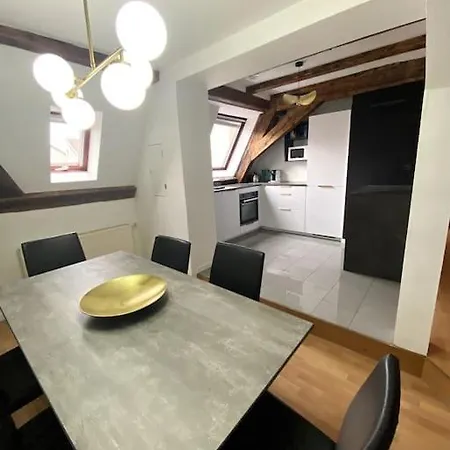 Le Schongauer En Hypercentre Apartment *